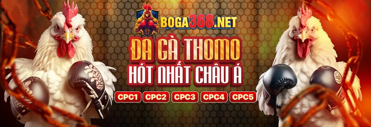 Đá Gà Trực Tuyến XS66 Khuyến Mãi